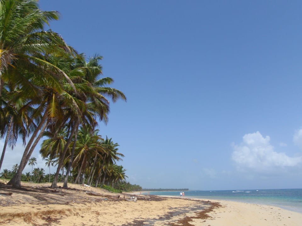 Öffentlicher Strand zum kilometerlangen Laufen... Grand Sirenis Punta Cana Resort & Aquagames