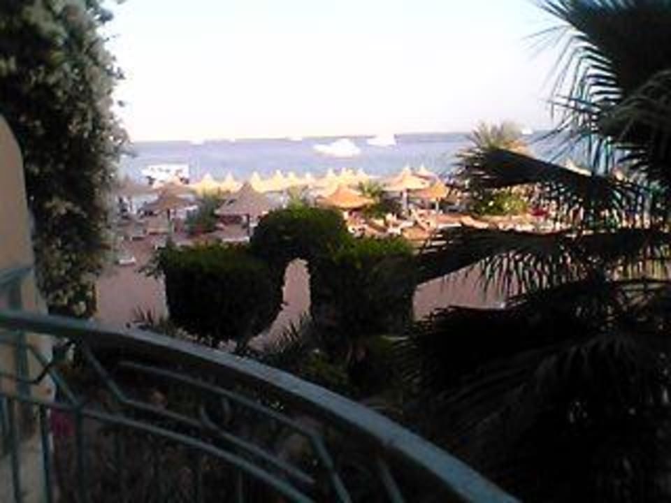 Blick vom Balkon Bella Vista Resort Hurghada
