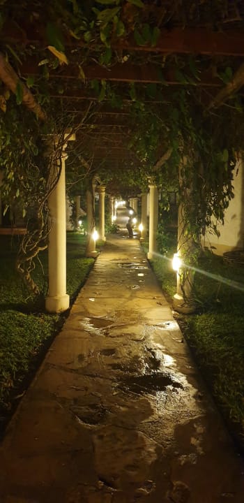 Gartenanlage Neptune Village Beach Resort & Spa