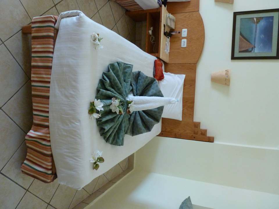 Pfau auf dem Bett Swisstouch Oriental Resort Marsa Alam