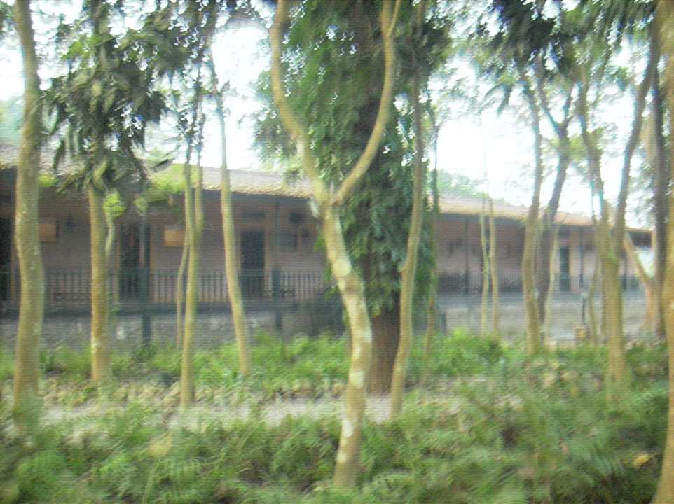 Longhouse Hotel Maruni Sanctuary Lodge