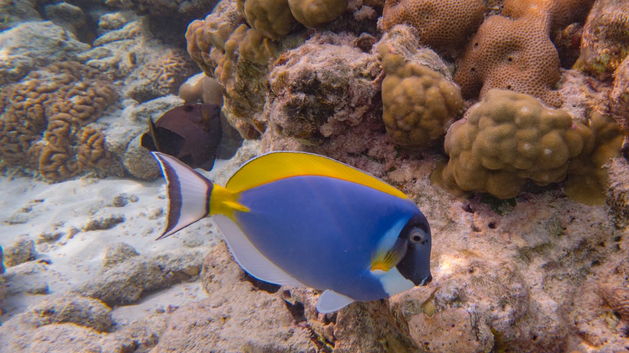 Strand Adaaran Select Meedhupparu Island Resort - Premium All Inclusive