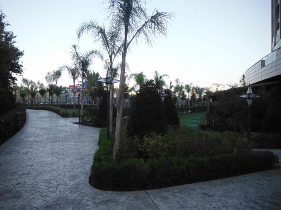 Royal Seginus Royal Seginus