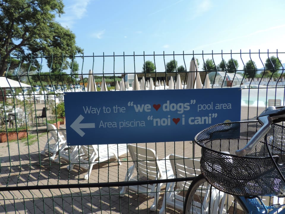 Cesta na psí pláž Park Albatros Village