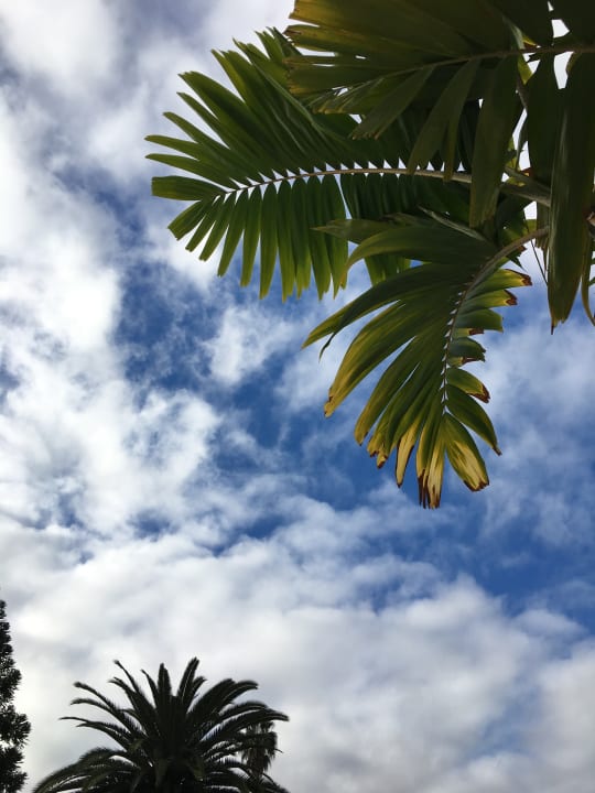 Pool Atlantic Mirage Suites & Spa - Adults only