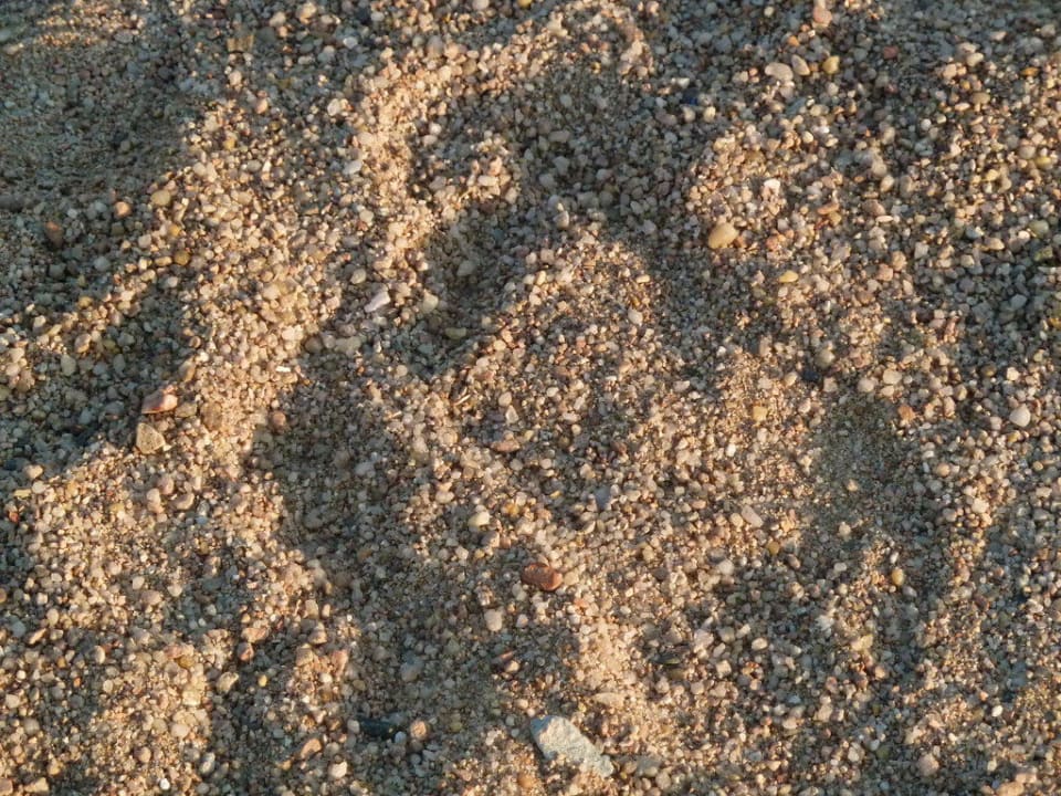 Feiner Sandstrand? The Grand Resort