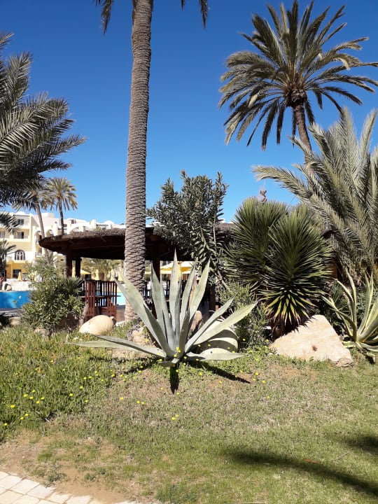 Gartenanlage Hotel Eden Star