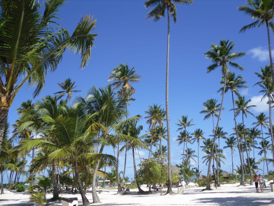 Ohne Worte! Villas Bavaro Resort & Spa