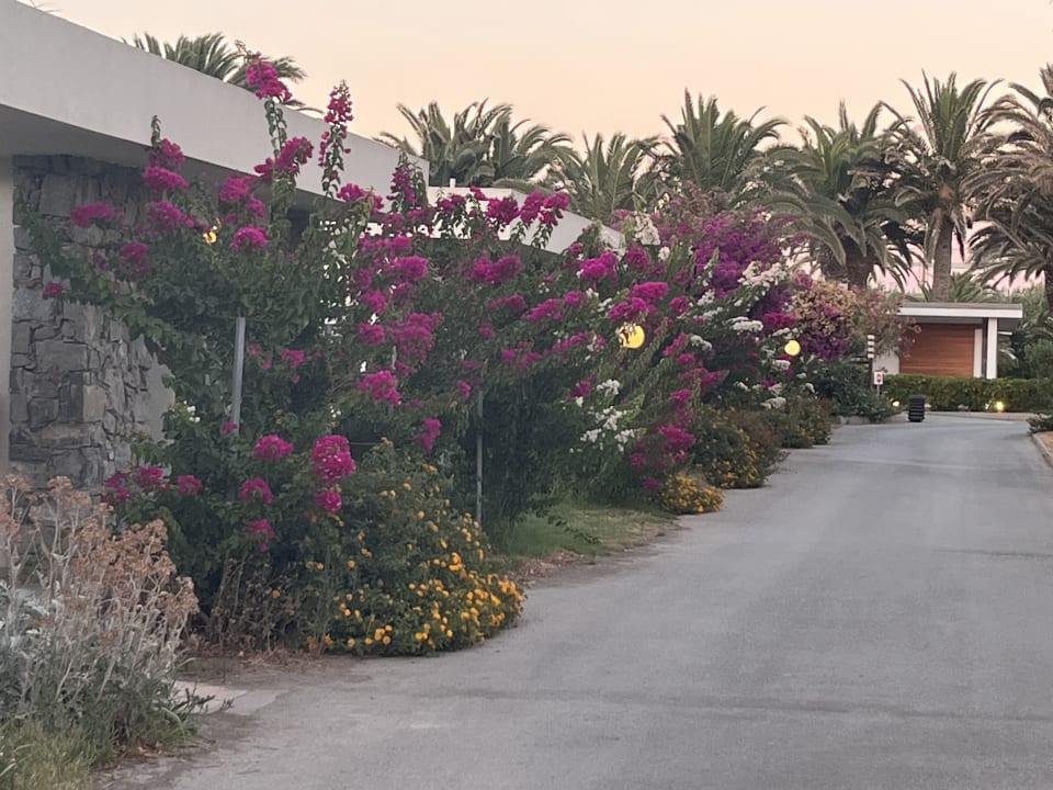 Gartenanlage Civitel Creta Beach