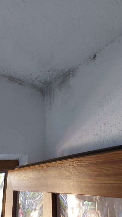 Sport & Freizeit Ferienhäuser zur Schäferei