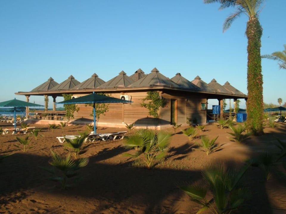Strandbar Paloma Oceana