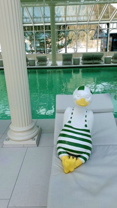 Pool Hotel der Wiesenhof