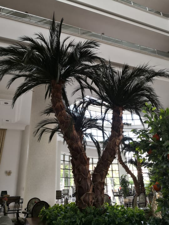 Lobby Saphir Resort & Spa