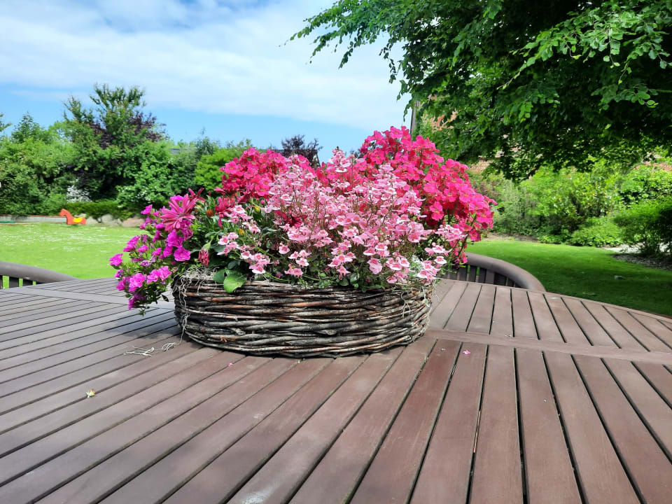 Außenansicht Ferienhäuser Bauernhof Haltermann Landurlaub mit Stil
