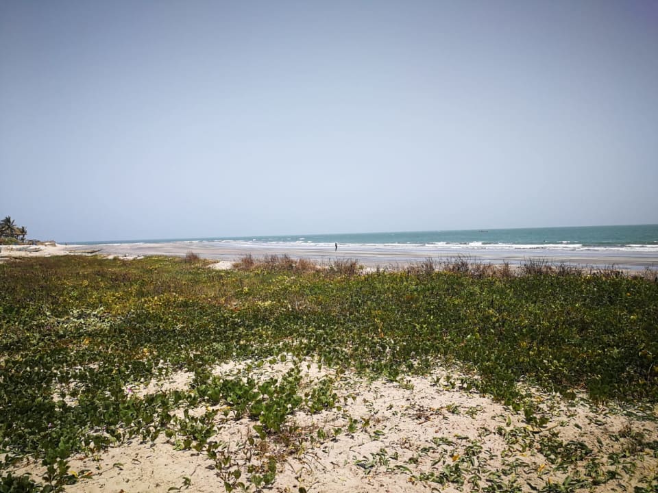 Strand TUI BLUE Tamala