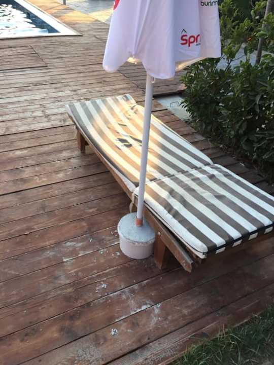 Parasolki w wiadrach Rinia 2