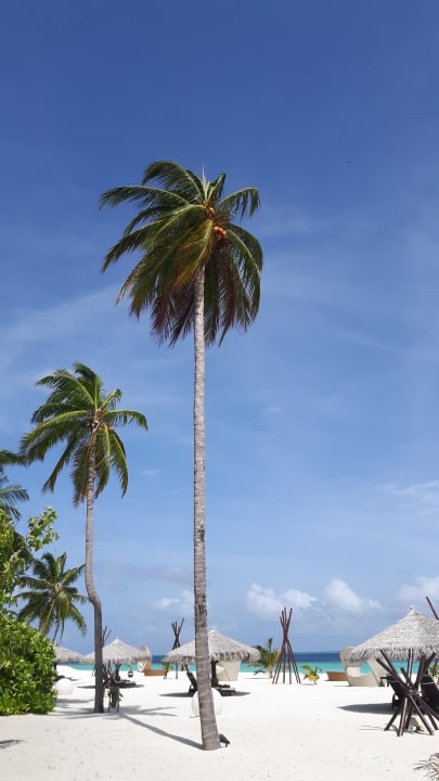 Strand Kihaa Maldives