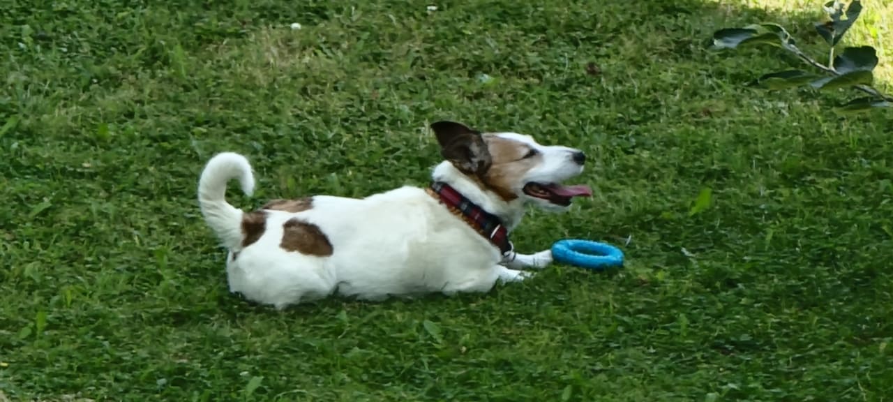 Sonstiges Hotel Wittelsbacher Hof