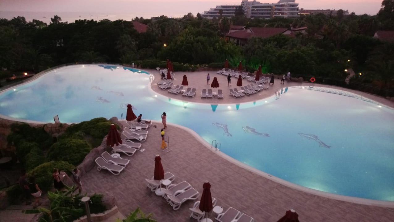 Pool Starlight Resort Hotel