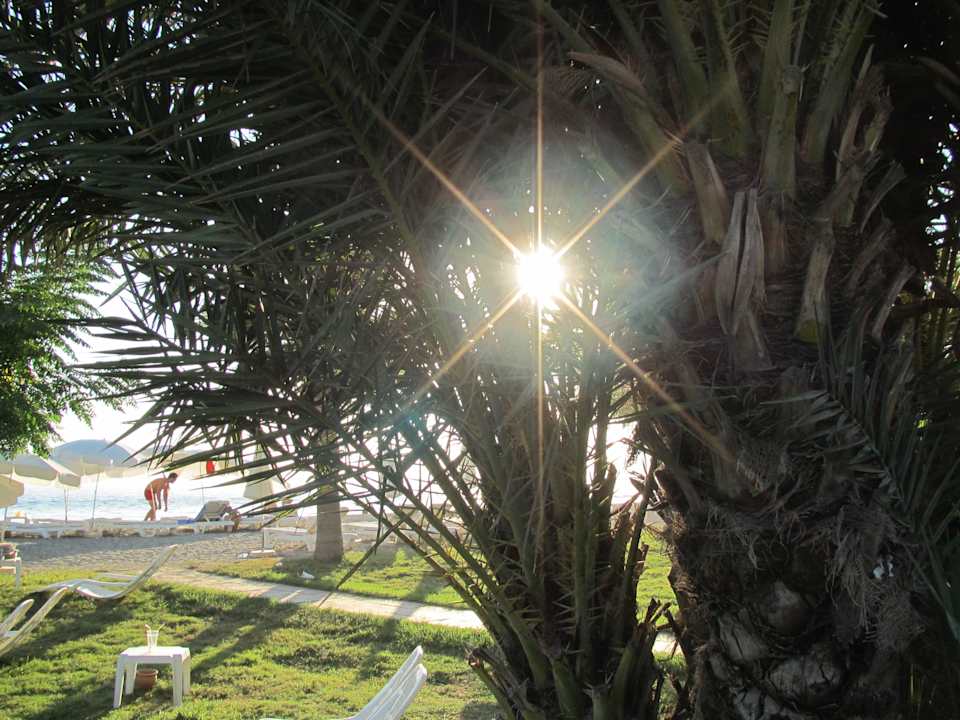 Urlaub 2012 in Alanya Labranda Alantur Resort