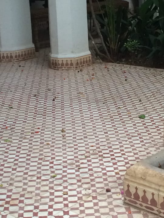Schade für den schönen Innenhof Hotel Riad Ifoulki