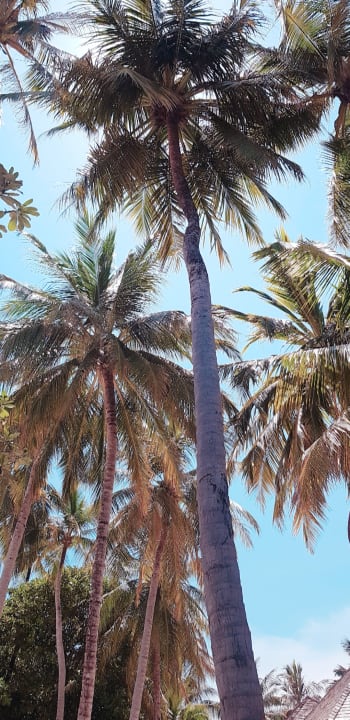 Ausblick Meeru Maldives Resort Island