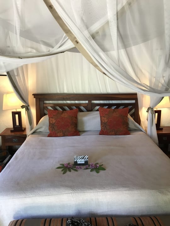 Zimmer Hotel Idube Game Lodge