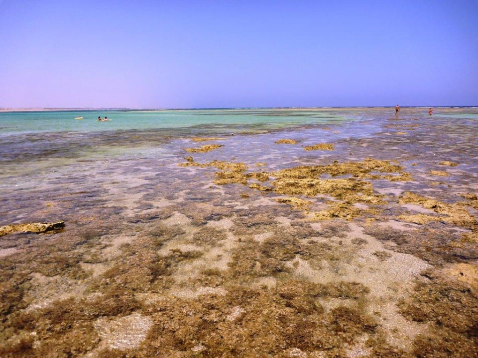 Morze Swisstouch Oriental Resort Marsa Alam