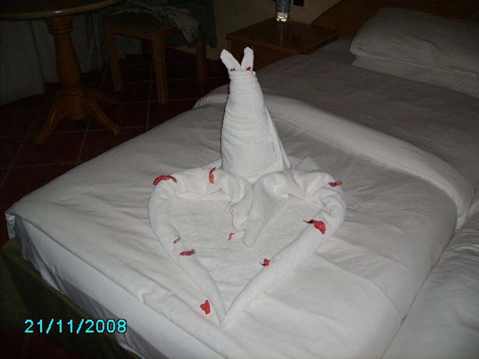 Decorazione Ghazala Gardens