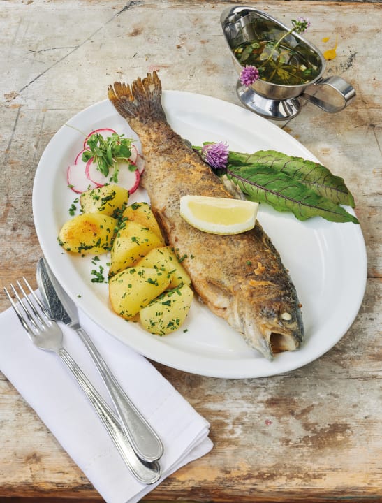 Gastro Gasthof Stuibenfall