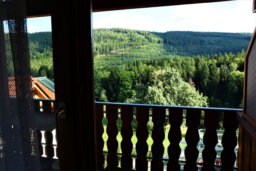 Ausblick Schwarzwaldhotel-Gasthof Hirsch