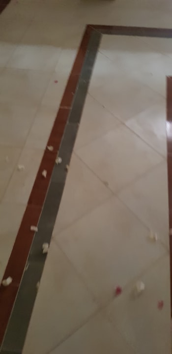 Sonstiges Imperial Shams Abu Soma