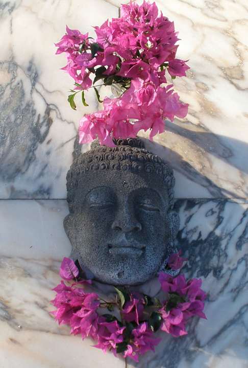 Gartenanlage Jardin Mariposa Retreat- und Seminarzentrum