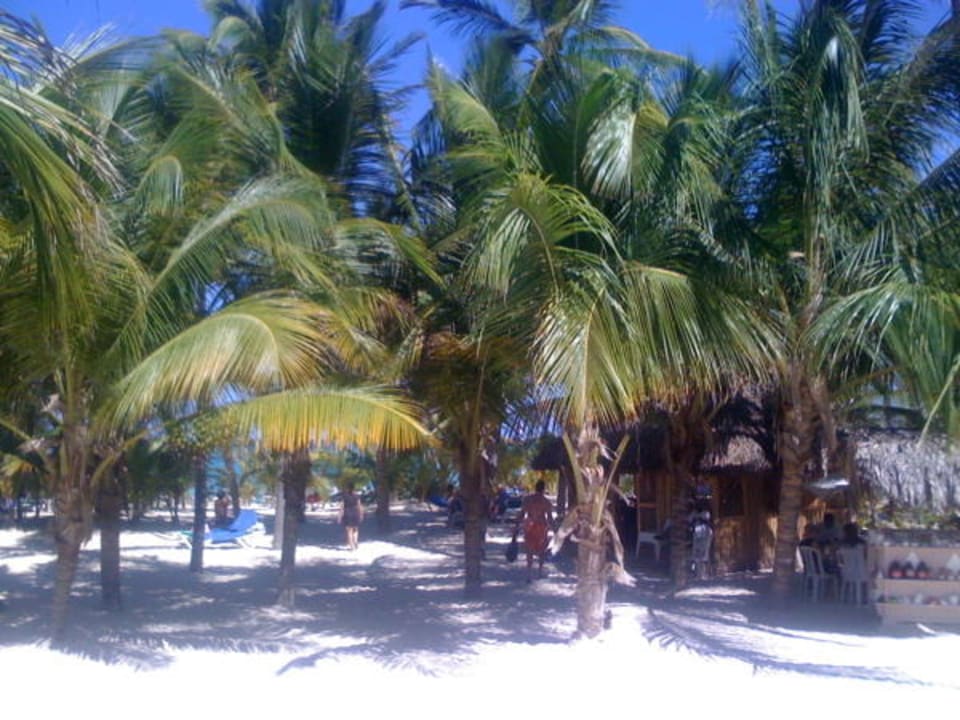 Palmen, Strand und Henna-Tatoos Hotel Riu Palace Punta Cana