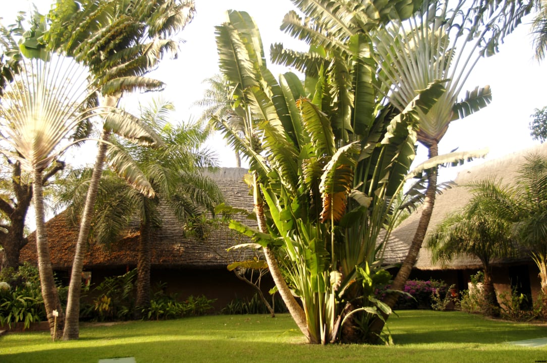 Gartenanlage Club Med Cap Skirring