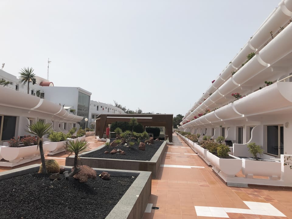 Gartenanlage allsun App.-Hotel Barlovento