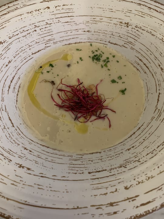 Gastro Paguera Treff Boutique Hotel