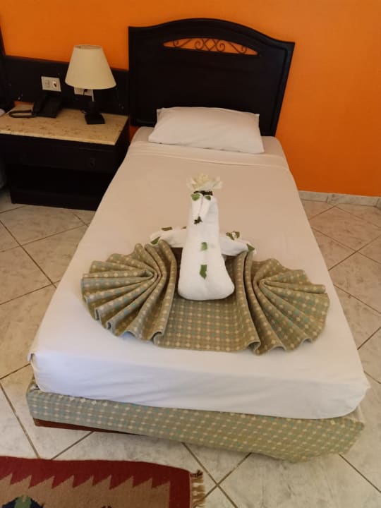 Zimmer Dexon Roma Hotel