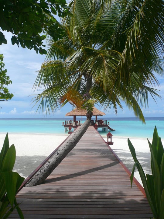 Steg Banyan Tree Vabbinfaru