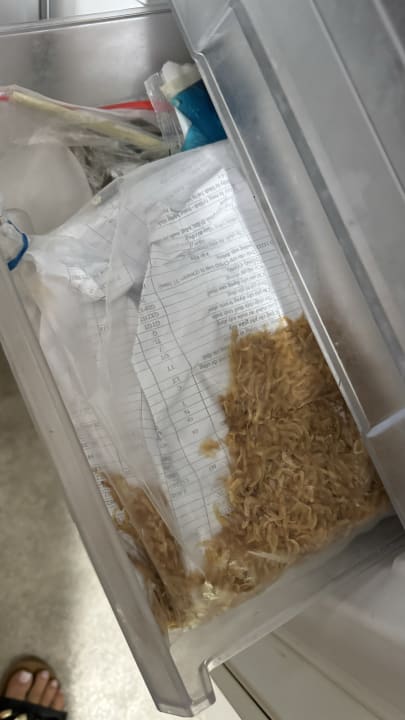 Zimmer Ferienzimmer Healing und Montuerwohnung