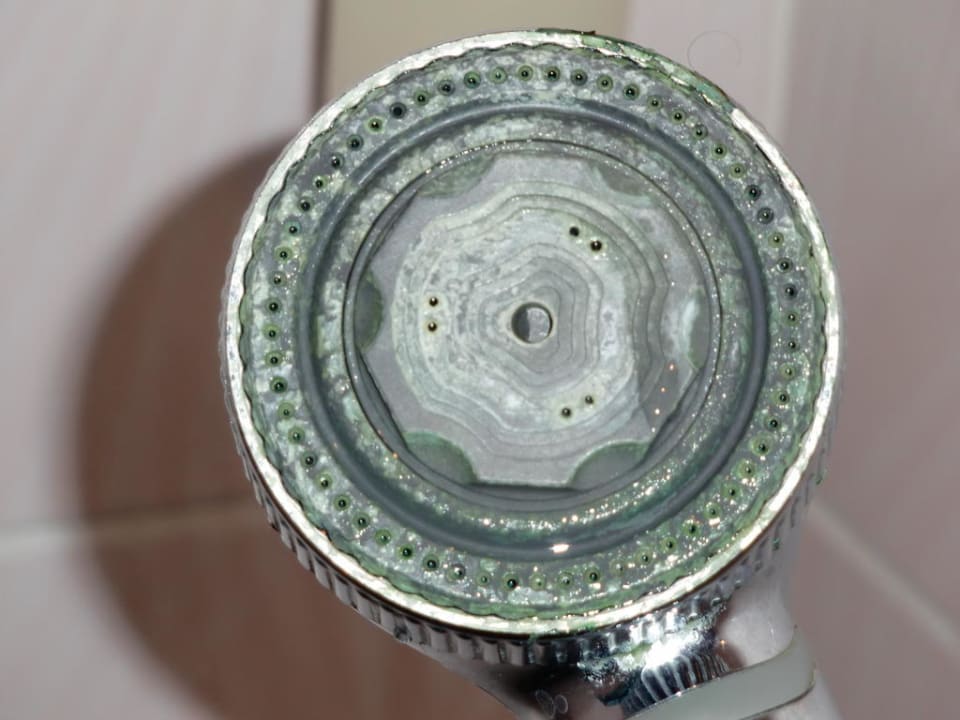 Duschkopf Altes Landhaus Lanvers