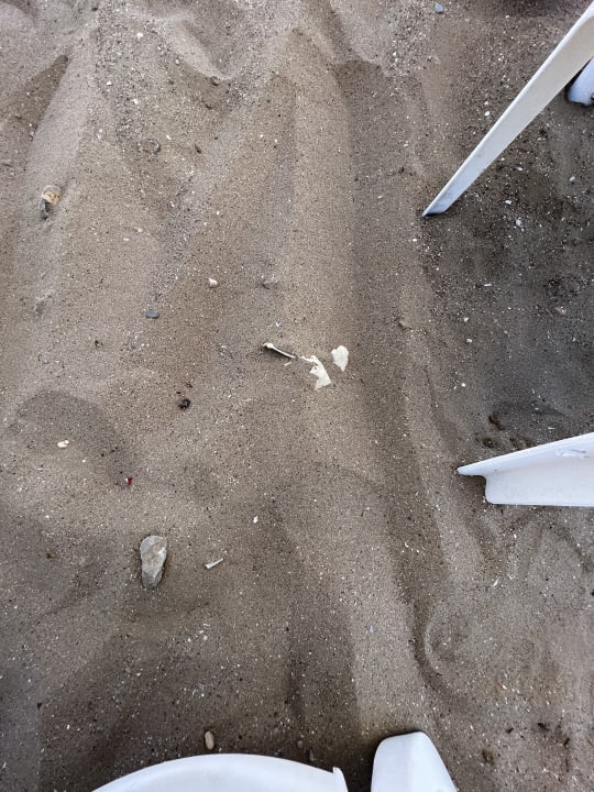 Strand PALOMA Perissia