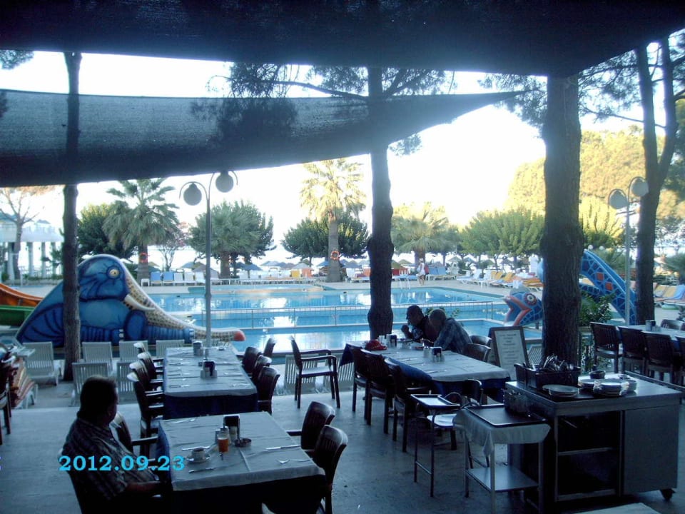 Blick auf den Pool Hotel Grand Efe