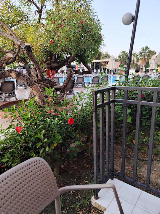 Pool VONRESORT Golden Beach