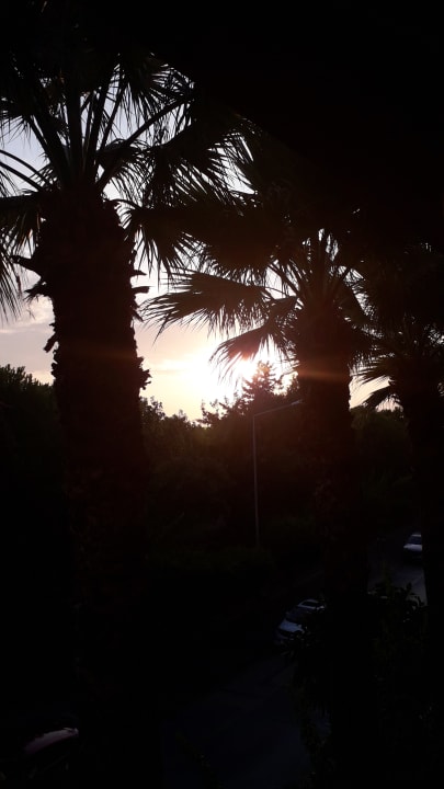 Sonstiges Gardenia Hotel