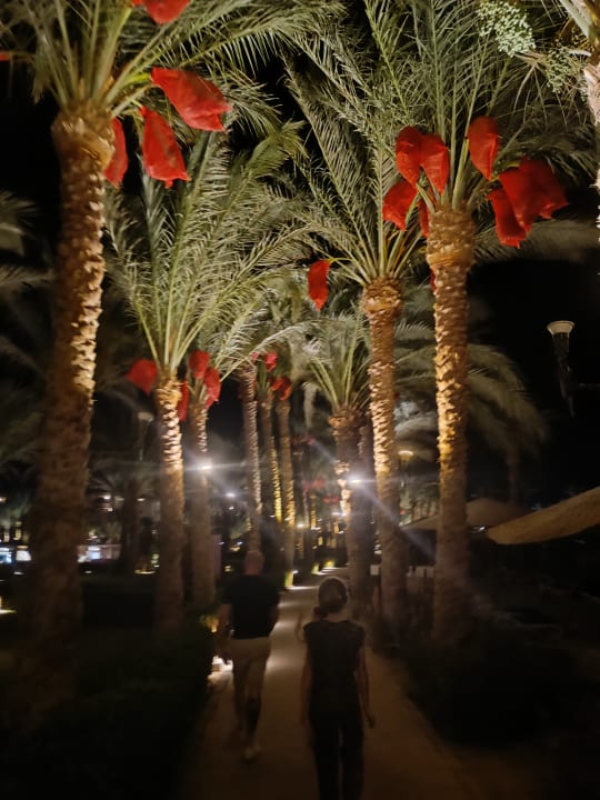 Gartenanlage Fort Arabesque Resort, Spa & Villas