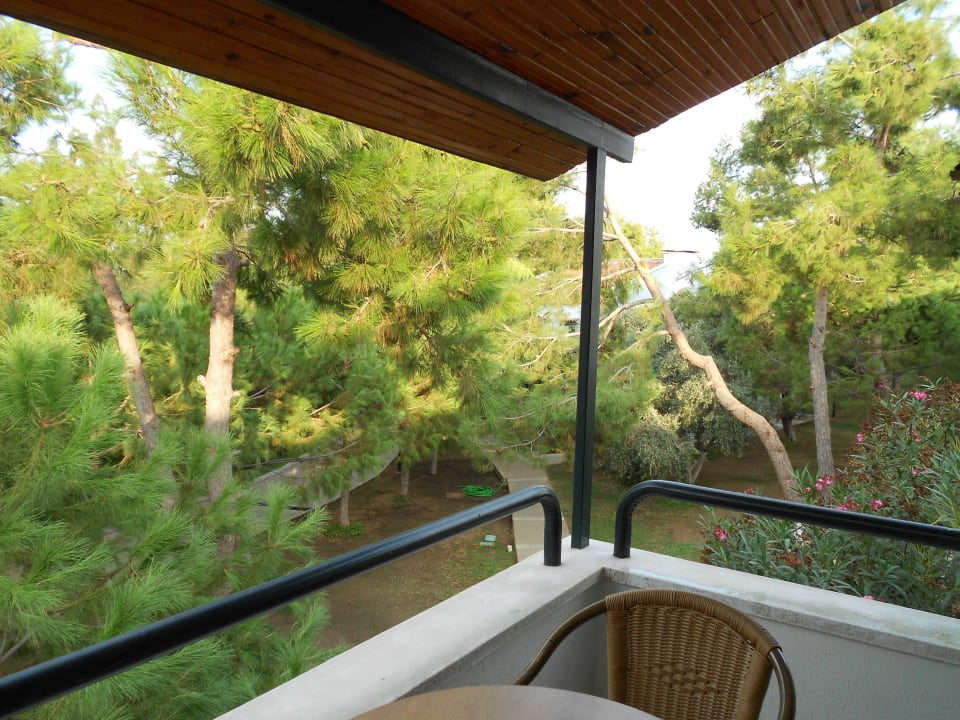 Balkon (Ausblick in den Garten) Kustur Club Holiday Village