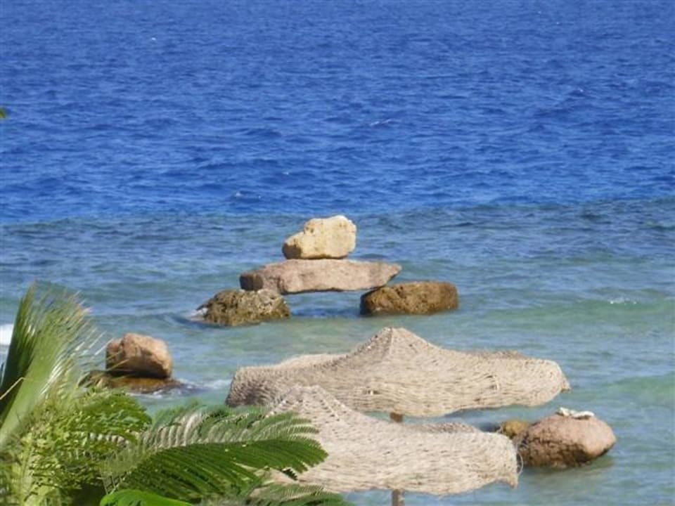 Hotel-Strand Pickalbatros Citadel Resort