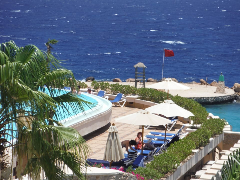 Blick auf den Infinity pool Pickalbatros Citadel Resort