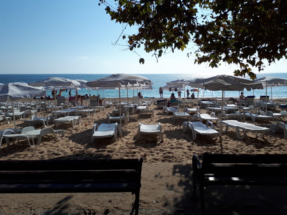 Strand Sentido Marea